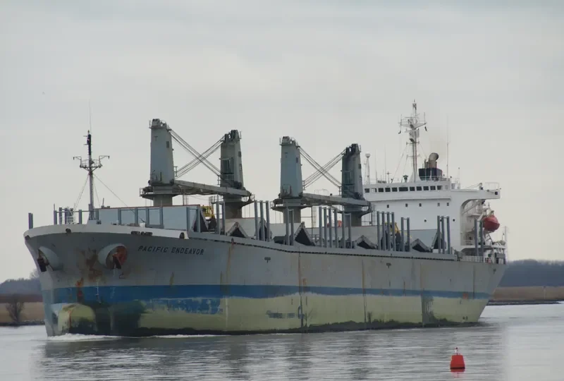 PACIFIC ENDEAVOR Bulk Carrier IMO 9040352 photo 6