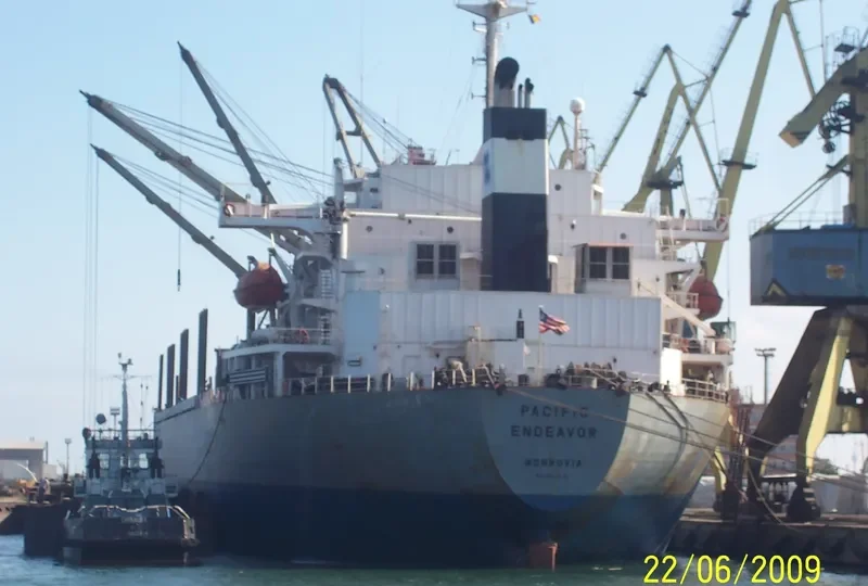 PACIFIC ENDEAVOR Bulk Carrier IMO 9040352 photo 8