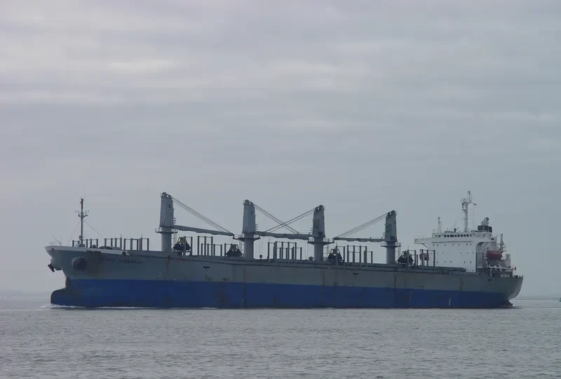 PACIFIC VIGOROUS Bulk Carrier IMO 9040364 photo 3
