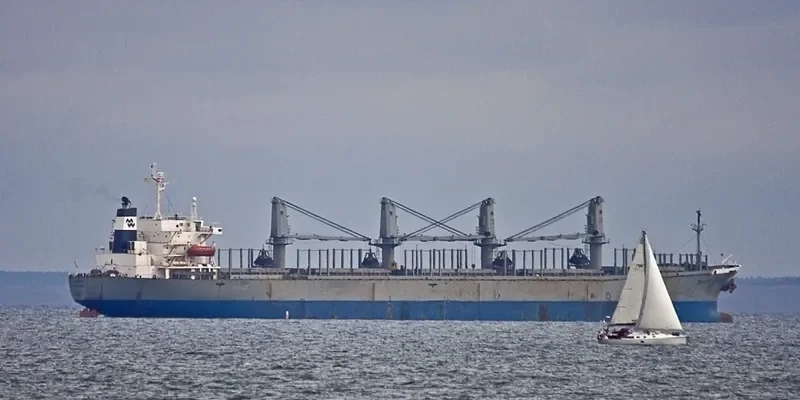 PACIFIC VIGOROUS Bulk Carrier IMO 9040364 photo 5