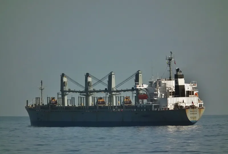 PACIFIC CAREER Bulk Carrier IMO 9040376 photo 2