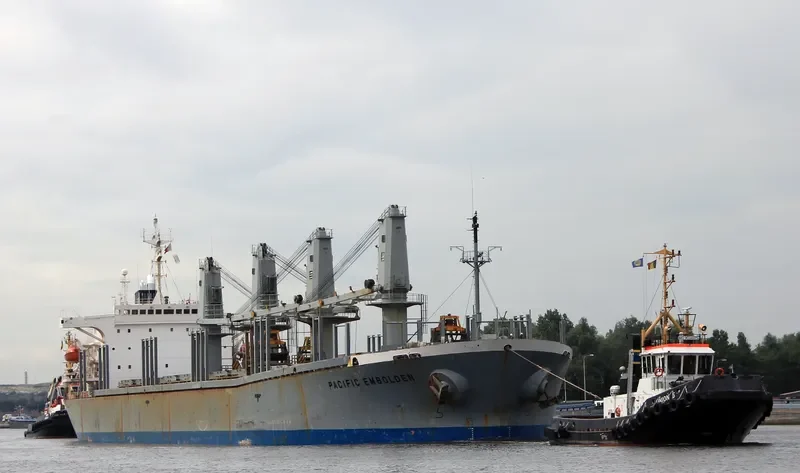 PACIFIC EMBOLDEN Bulk Carrier IMO 9040388 photo 2