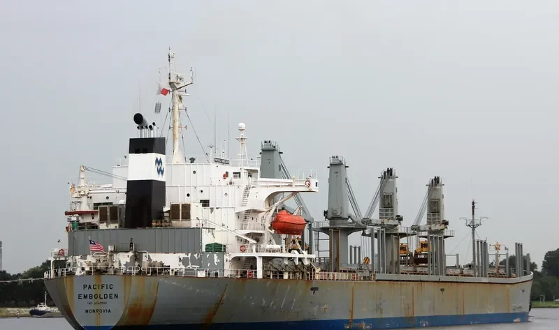 PACIFIC EMBOLDEN Bulk Carrier IMO 9040388 photo 4