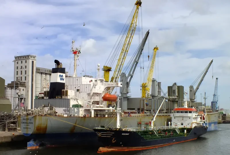 PACIFIC EMBOLDEN Bulk Carrier IMO 9040388 photo 5