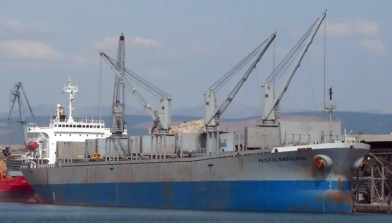 PACIFIC EMBOLDEN Bulk Carrier IMO 9040388 photo 9