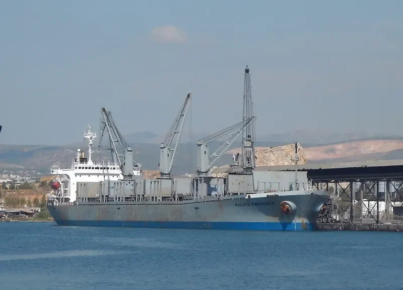 PACIFIC EMBOLDEN Bulk Carrier IMO 9040388 photo 10