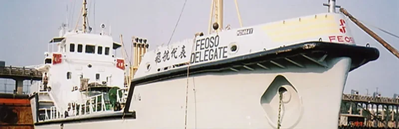 FEOSO DELEGATE General Cargo IMO 9040405 photo 3