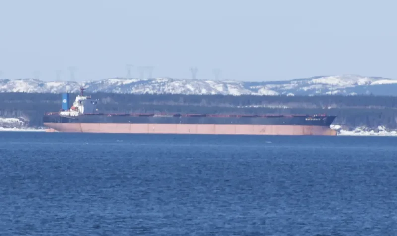 PROSPER Bulk Carrier IMO 9040508