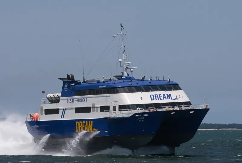 DREAM Passenger Ship IMO 9040845 photo 5