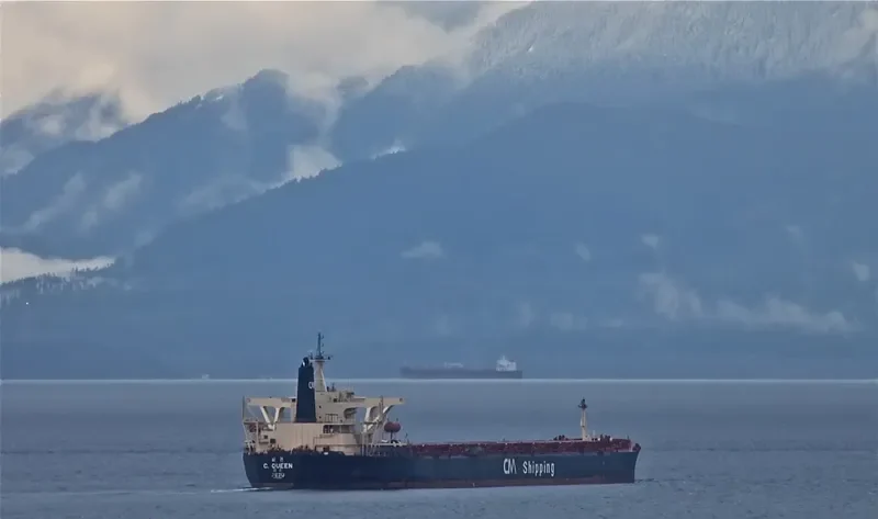 C.QUEEN Bulk Carrier IMO 9040857 photo 3