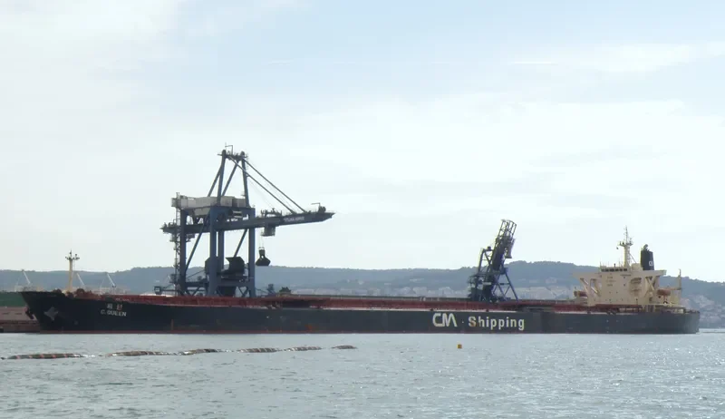 C.QUEEN Bulk Carrier IMO 9040857 photo 6