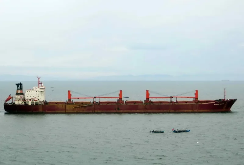 KIRAN ASYA Bulk Carrier IMO 9040895