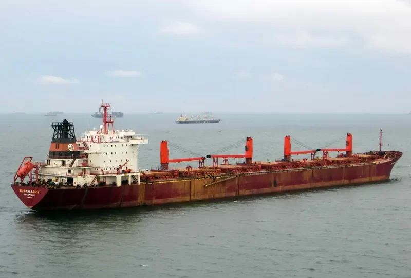 KIRAN ASYA Bulk Carrier IMO 9040895 photo 2
