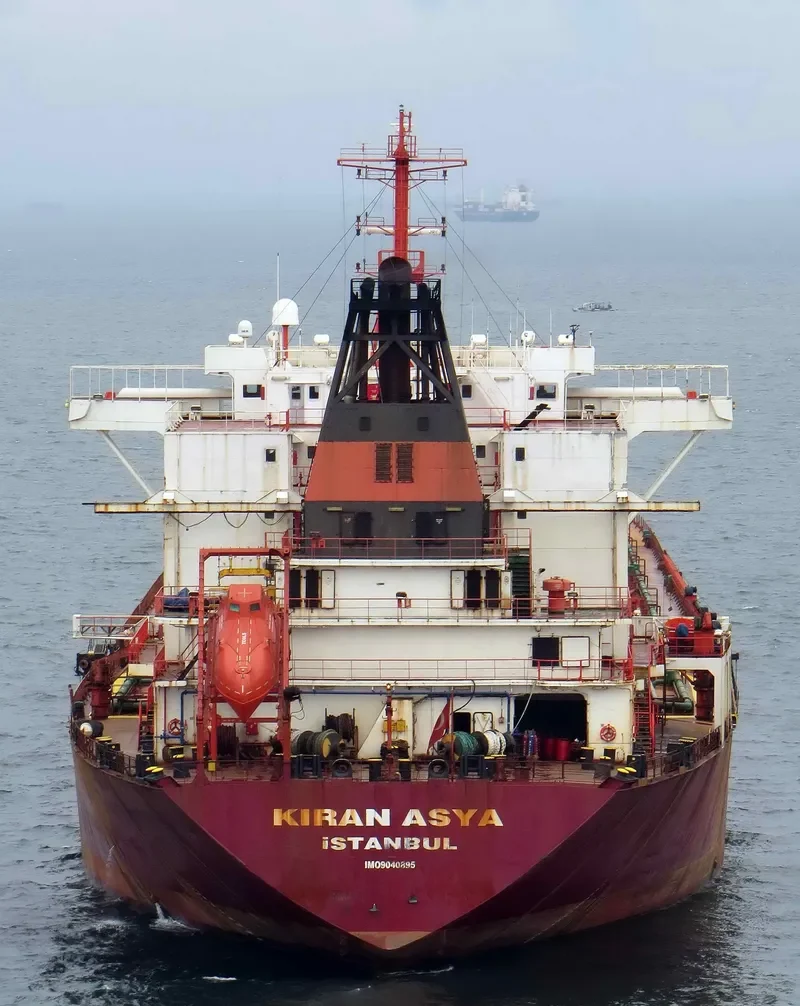 KIRAN ASYA Bulk Carrier IMO 9040895 photo 3