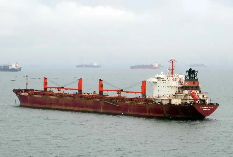 KIRAN ASYA Bulk Carrier IMO 9040895 photo 4