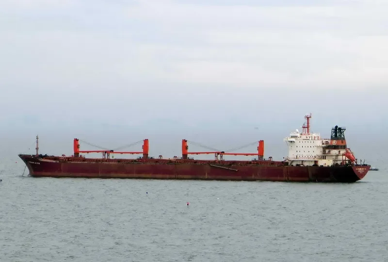 KIRAN ASYA Bulk Carrier IMO 9040895 photo 5