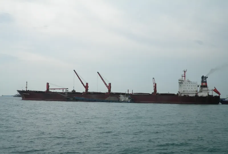KIRAN ASYA Bulk Carrier IMO 9040895 photo 6