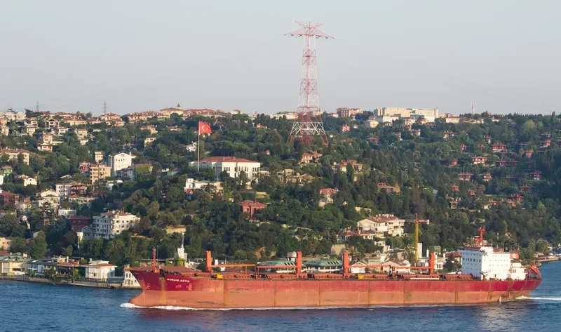 KIRAN ASYA Bulk Carrier IMO 9040895 photo 9