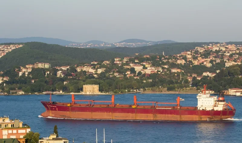 KIRAN ASYA Bulk Carrier IMO 9040895 photo 10