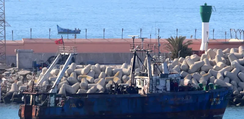 MERSAL 6 General Cargo IMO 9040912 photo 2
