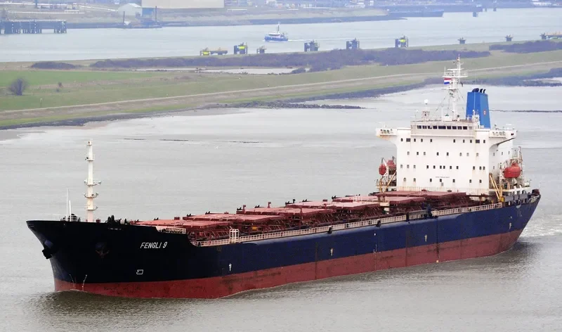 FENGLI 9 Bulk Carrier IMO 9041021 photo 2