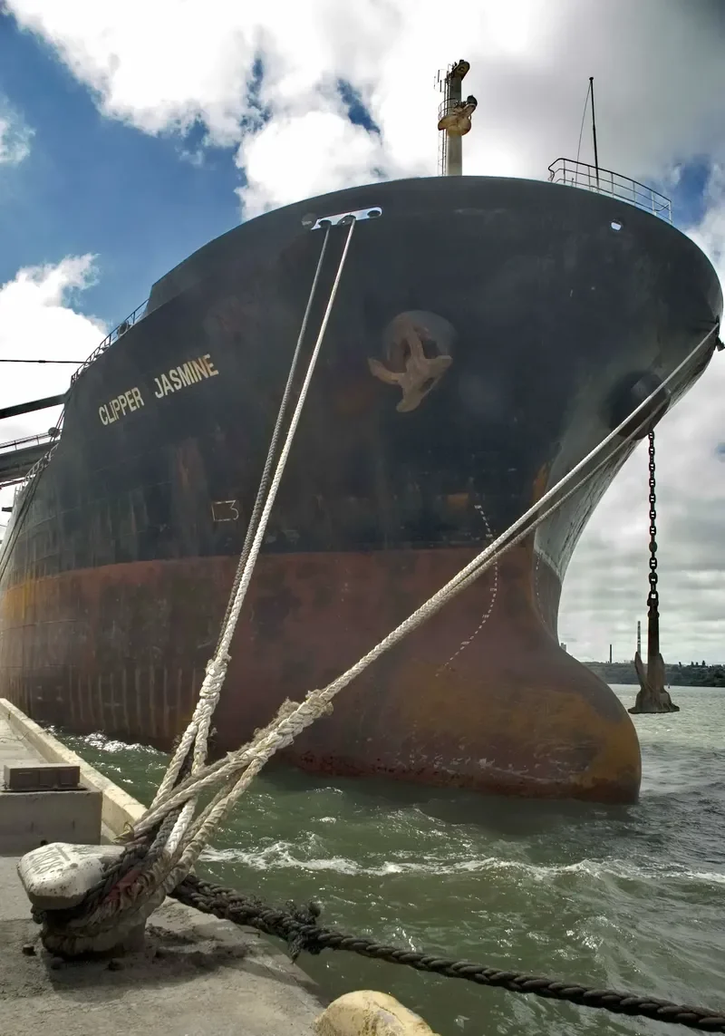 FENGLI 9 Bulk Carrier IMO 9041021 photo 3