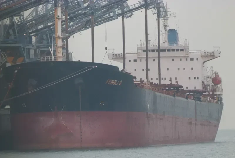 FENGLI 9 Bulk Carrier IMO 9041021 photo 6