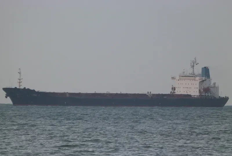 FENGLI 9 Bulk Carrier IMO 9041021 photo 7