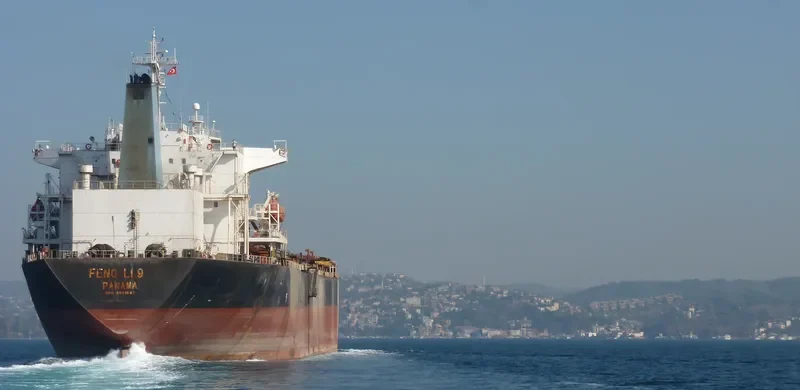 FENGLI 9 Bulk Carrier IMO 9041021 photo 9