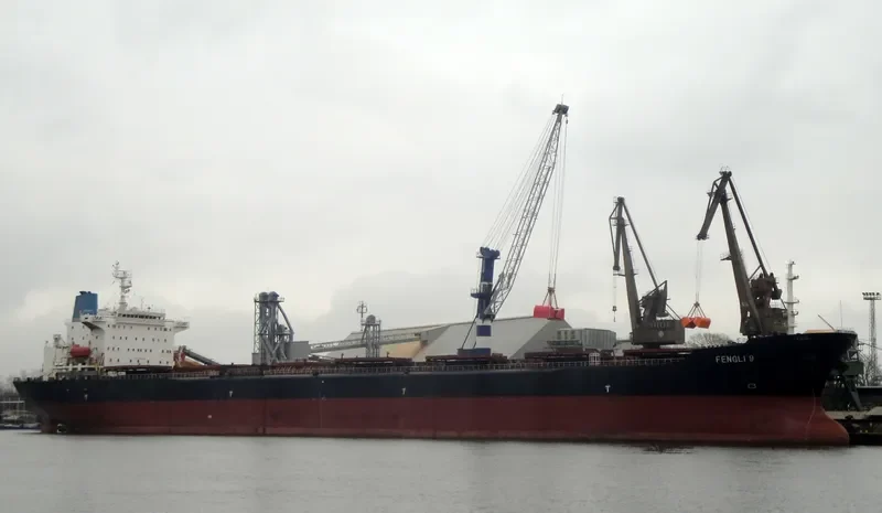 FENGLI 9 Bulk Carrier IMO 9041021 photo 10