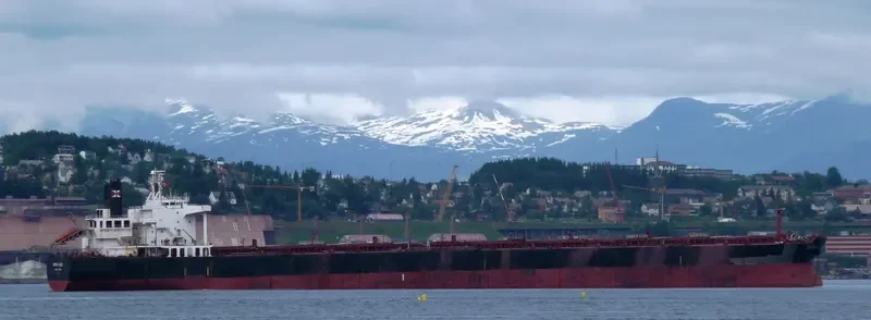 ERRADALE STAR Bulk Carrier IMO 9041033 photo 3