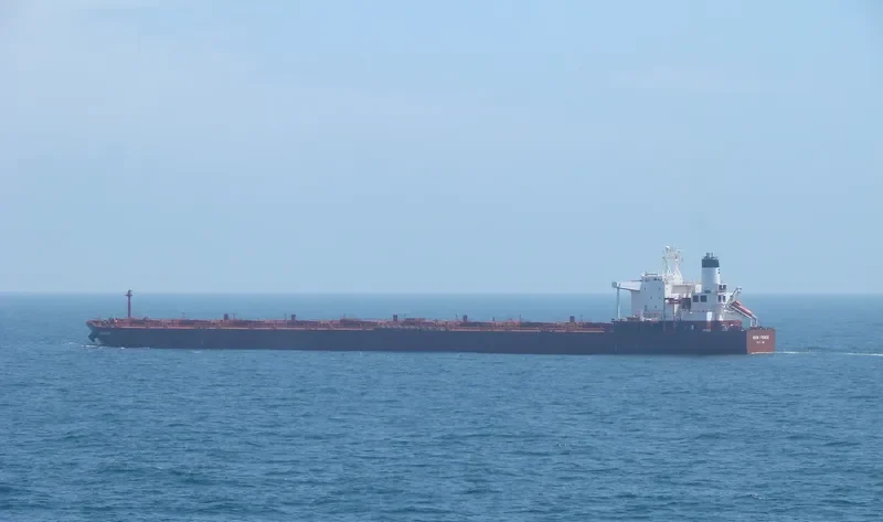 BET PRINCE Bulk Carrier IMO 9041045 photo 3