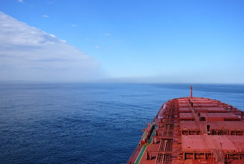 BET PRINCE Bulk Carrier IMO 9041045 photo 4