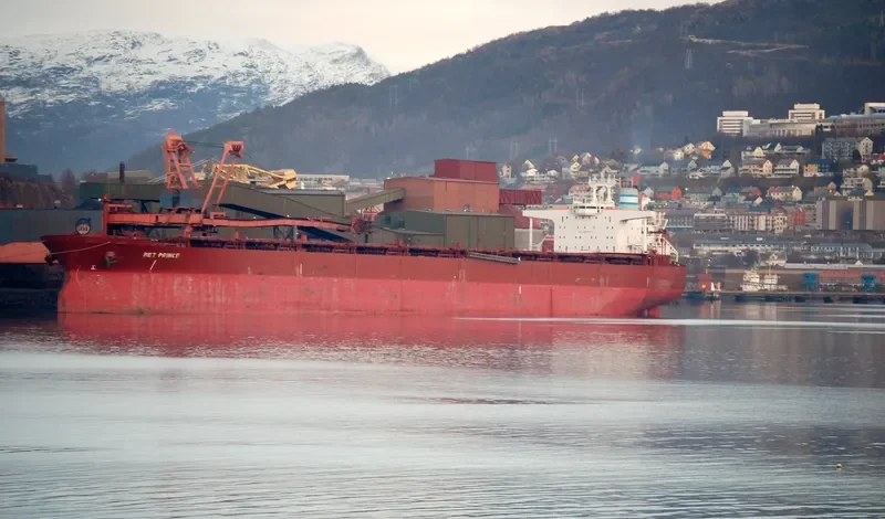 BET PRINCE Bulk Carrier IMO 9041045 photo 6
