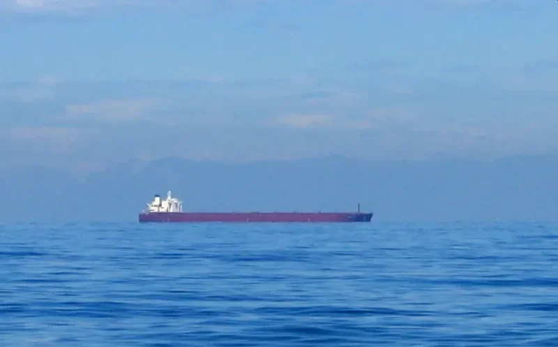 BET PRINCE Bulk Carrier IMO 9041045 photo 7