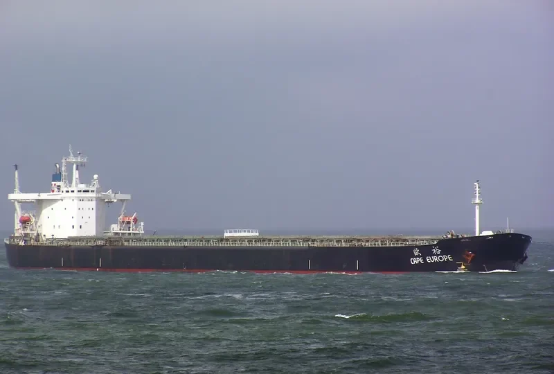 WINNING FRIEND Bulk Carrier IMO 9041215 photo 2