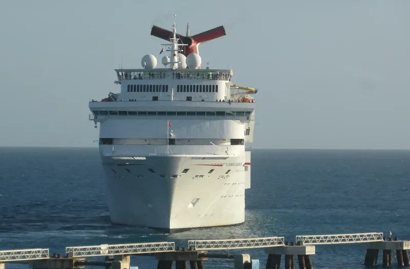 Y HARMONY Passenger Ship IMO 9041253 photo 4