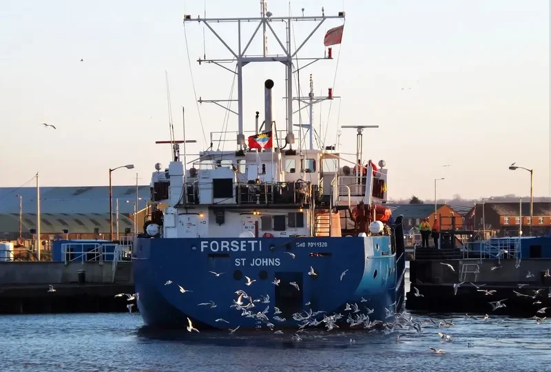GT FORSETI General Cargo IMO 9041320