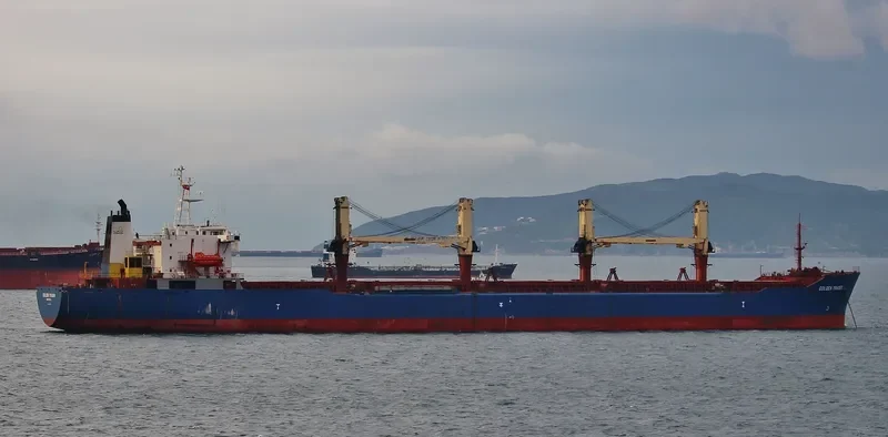 GOLDEN TRADER Bulk Carrier IMO 9041459 photo 3