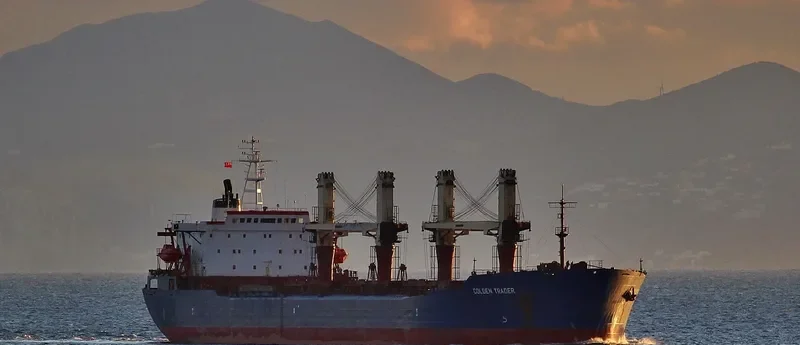 GOLDEN TRADER Bulk Carrier IMO 9041459 photo 4