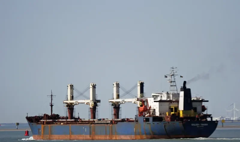 GOLDEN TRADER Bulk Carrier IMO 9041459 photo 8