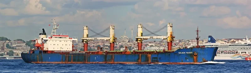GOLDEN TRADER Bulk Carrier IMO 9041459 photo 9