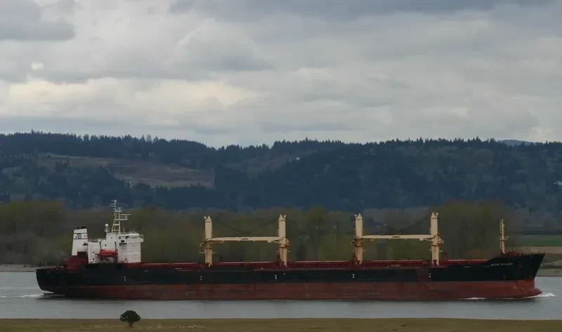 BARA ANUGERAH Bulk Carrier IMO 9041461