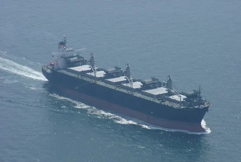 SKY PACIFIC Bulk Carrier IMO 9041485 photo 4