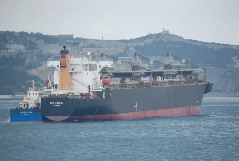 SKY PACIFIC Bulk Carrier IMO 9041485 photo 6