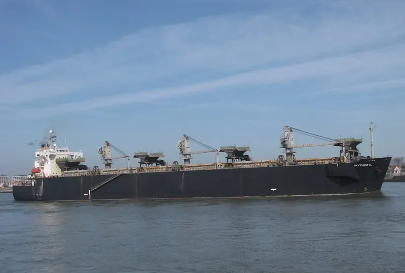 SKY PACIFIC Bulk Carrier IMO 9041485 photo 7