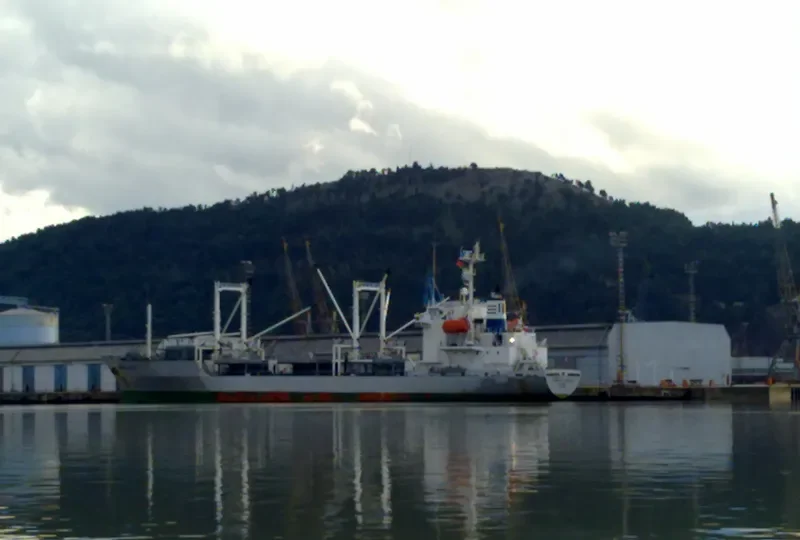 HUA FU 207 General Cargo IMO 9041540 photo 8