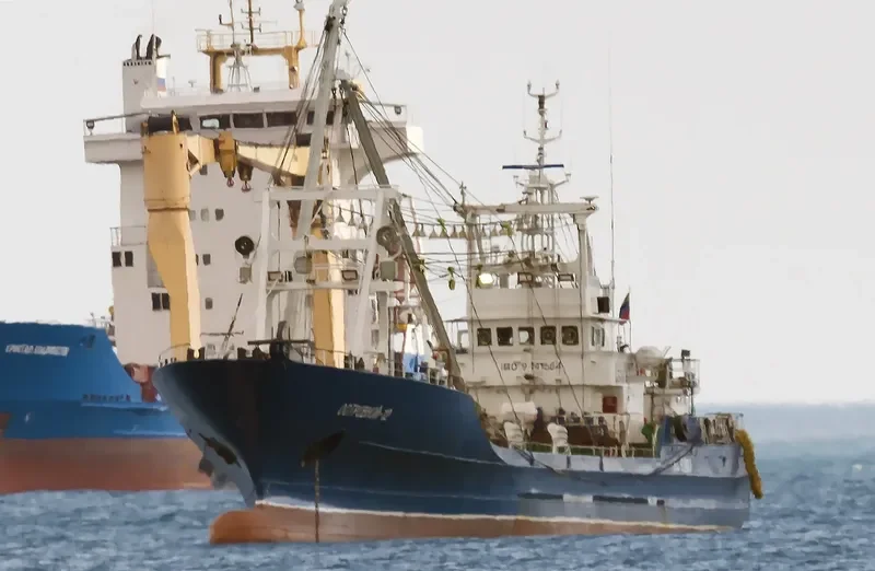 OSTROVNOY 12 General Cargo IMO 9041564 photo 4