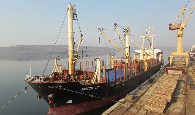 FORTUNE LIFE General Cargo IMO 9041722 photo 2