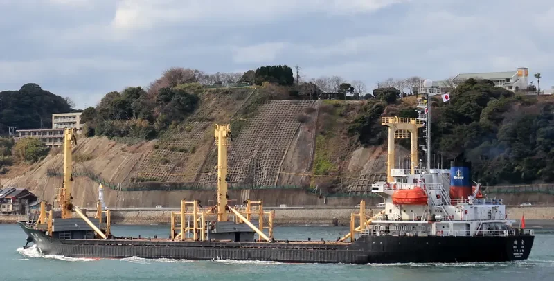 FORTUNE LIFE General Cargo IMO 9041722 photo 4